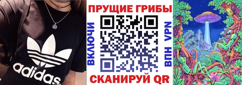 Галлюциногенные грибы мицелий  наркота  Дивногорск 